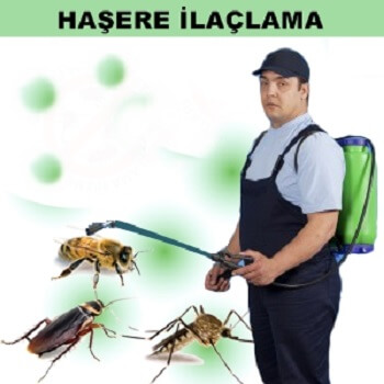 İpsala Böcek İlaçlama
